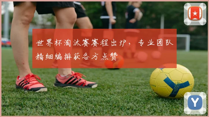 世界杯淘汰赛赛程出炉,专业团队精细编排获各方点赞