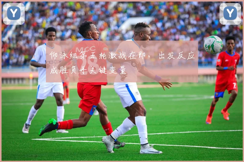 仰泳组第五轮激战在即,出发反应成胜负手关键变量