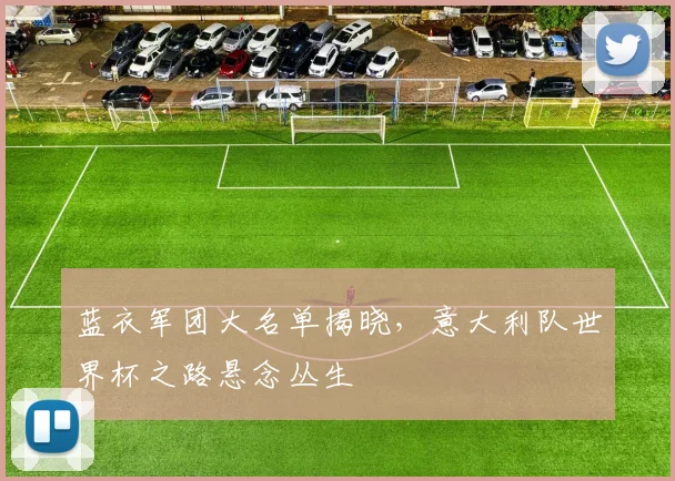 蓝衣军团大名单揭晓,意大利队世界杯之路悬念丛生