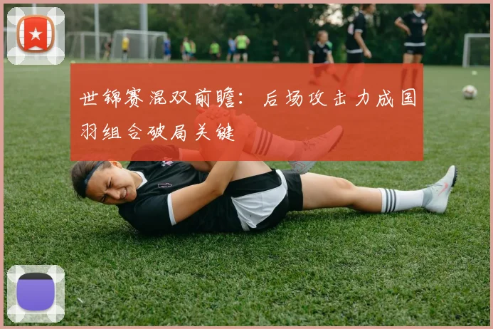 世锦赛混双前瞻:后场攻击力成国羽组合破局关键
